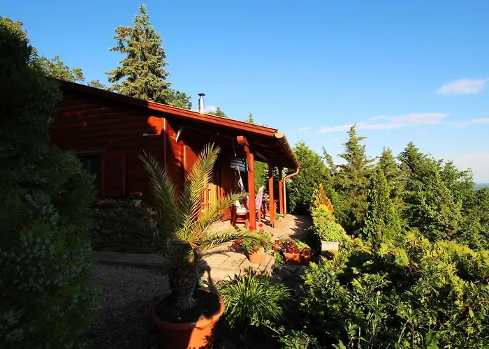Hilltop Hideout